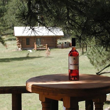 Renegade Log Cabin Custer Esterno foto